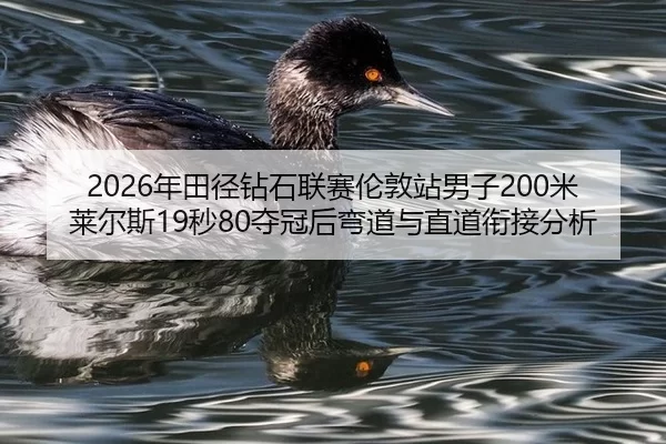 2026年田径钻石联赛伦敦站男子200米莱尔斯19秒80夺冠后弯道与直道衔接分析